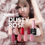 22f8808d9f80f3db6a8ea85b0ebd08de