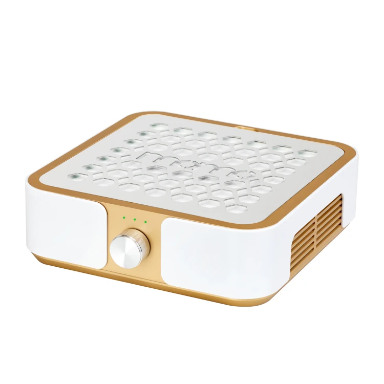 Pochłaniacz pyłu MOMO P30 60W złoty 1