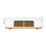 Pochłaniacz pyłu MOMO P30 60W złoty 6